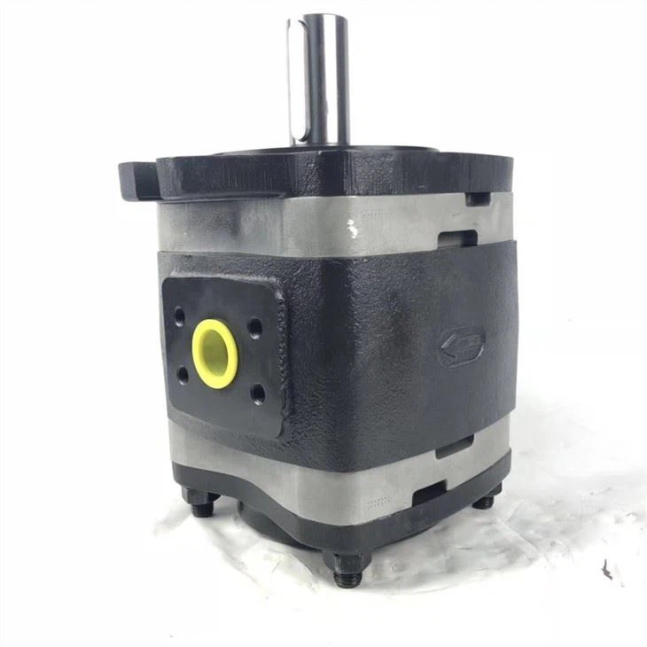 Germany IPV IPVS Series Hydraulic Internal Gear Pump Oil Pump IPVS 5-64 101